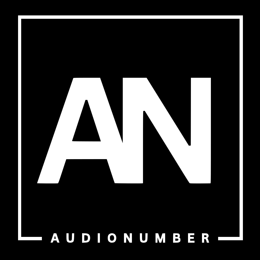 AudioNumber logo